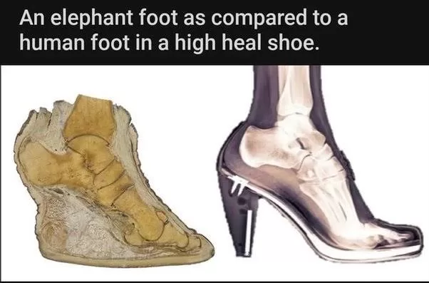 إذا ارتدت امرأة حذاء له كعب مدببا فإن إجمالي وزنها سيرتكز بالكامل على منطقة الكعب مؤقتاً خلال مشيها